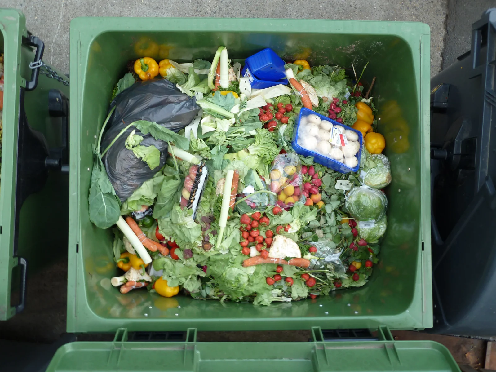 A green waste bin full of discarded vegetables, fruit and packaged food, seen from above